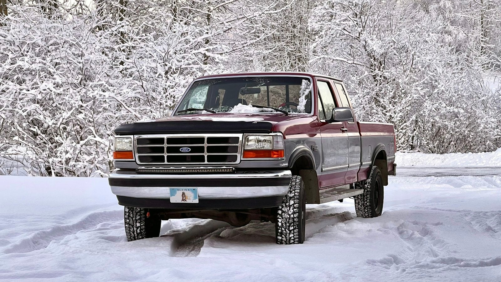 Ford pickup truck parked in fresh snow in front of snow-covered trees